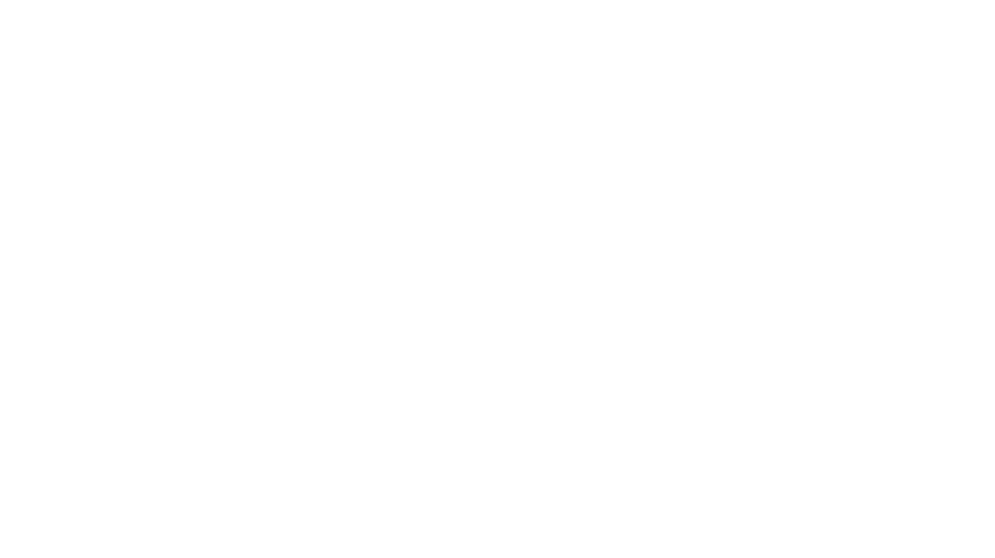 Newton Meditech